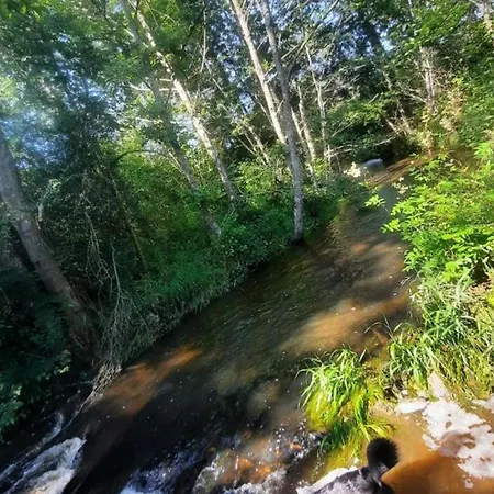 Convivial A Avec Piscine Partagee Et Animaux Acceptes - Fr-1-489-353 Tatil Evi